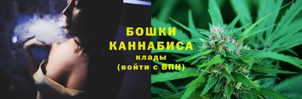молекула духа Аркадак
