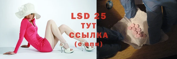 молекула духа Аркадак