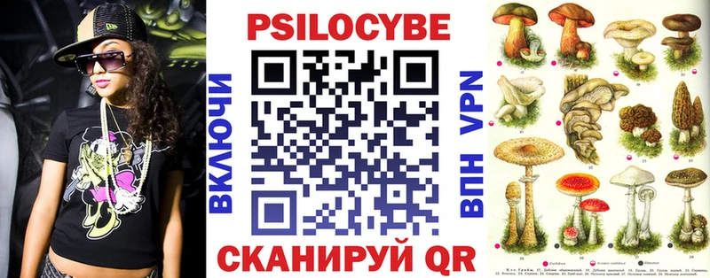 kraken зеркало Семикаракорск Псилоцибиновые грибы мицелий как найти закладки